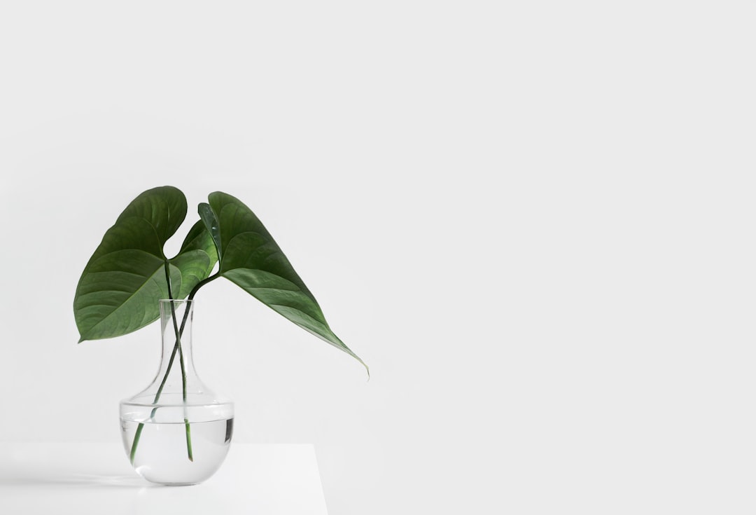 Eco-Friendly Home Decor: Sustainable Style for a Greener Future Eco-Friendly Home Decor: Sustainable Style for a Greener Future